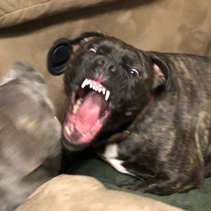 Meet your Posher, Misti